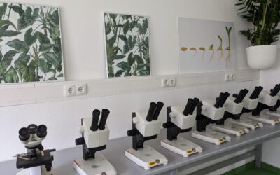 Grüne Lernwerkstatt